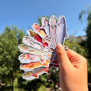 May include: A collection of die-cut stickers featuring various fish species including Atlantic Salmon, Steelhead Trout, Sockeye Salmon, Chinook Salmon, Lake Trout, Rainbow Trout, Brown Trout, and Brook Trout, each labelled with its common name.
