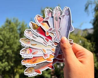 Salmon and Trout Watercolor Sticker Set, Waterproof Vinyl Fish Stickers, Personalized Fishing Decals, Angler Gift, Fish Species Sticker Pack