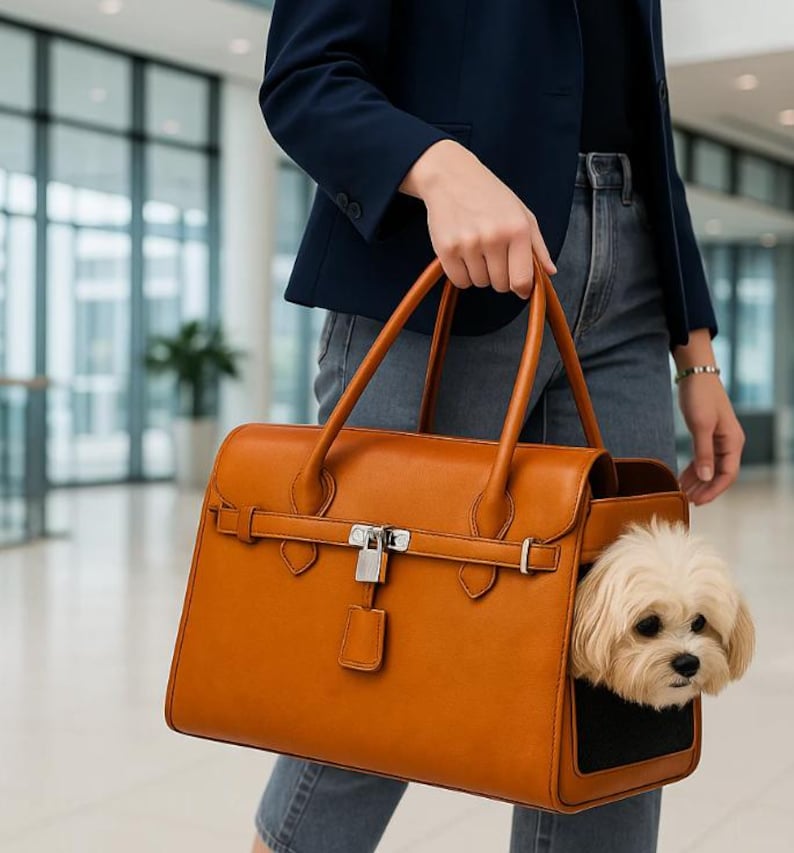 Woman shopping with small dog inside puppy carrier purse stylish dog handbag