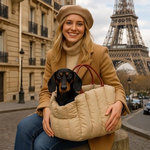 Pet travel bag luxury handbag - winter gift birthday - S M sizes black light