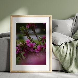 Pink Azalea Blumen Fotodruck digitaler Download