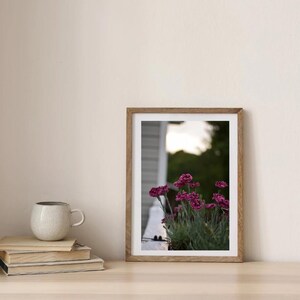 pink wildflower photo digital download Print