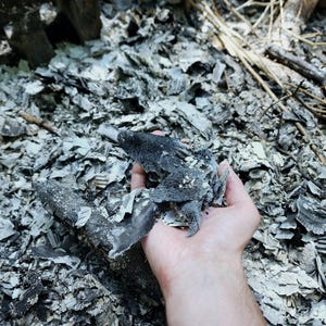 Organic wood ash. Useful for fertilizing soil, compost, plants, etc.