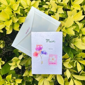 Carte à planter pour maman avec graines d'oeillets | fleurs sauvages biodégradables qui respecte l'environnement | Un cadeau durable bien pensé pour elle