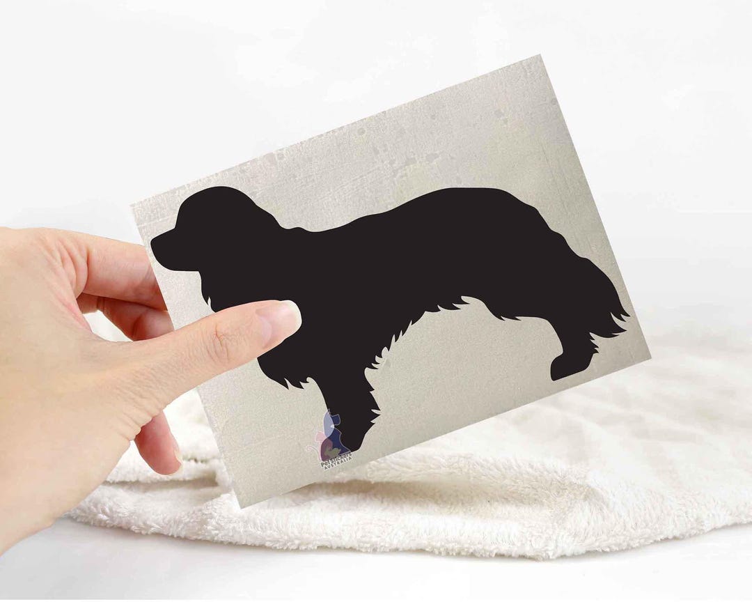 Cavalier King Charles Sticker | Dog Lover Car Bumper Stickers | Dog ...