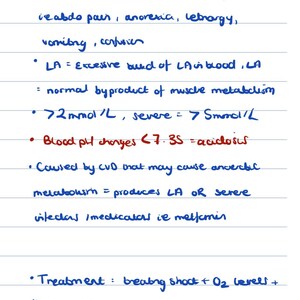 Puede incluir: Una página de notas médicas manuscritas con el título "Acidosis láctica" en tinta azul. Las notas detallan los síntomas, las causas y los tratamientos, incluidos los cambios en el pH sanguíneo y el uso de bicarbonato de sodio. La parte inferior de la página dice "SICKDAY rules".