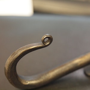 May include: Close-up of a metal hook with a decorative curl at the end. The hook is made of a dark metal and has a smooth, polished finish.