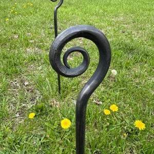 May include: Two black wrought iron garden stakes with a spiral design. The stakes are set in a grassy area with yellow dandelions. The stakes have a decorative, curled top.