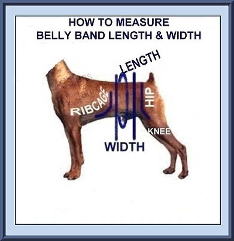 Male Dog Belly Band Waist 12.25 x 3.00 GUITARS Dog Belly Etsy