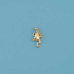 18K Gold Filled Frog Necklace,Toad Charm,Dainty Frog Pendant, Animal Pendant,Gift For Her,Frog Lover Gift,DIY Jewelry Making Supplies