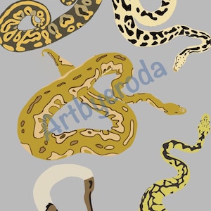 Modern Ball Python Collage Print