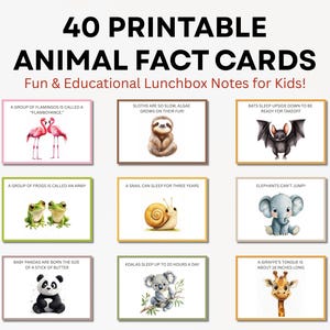 May include: A set of 40 printable animal fact cards for kids. Each card features an animal illustration and a fun fact. The cards include facts about flamingos, sloths, bats, frogs, snails, elephants, pandas, koalas, and giraffes.