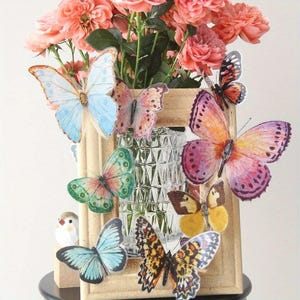 May include: A decorative arrangement featuring a wooden frame, a glass vase, and a bouquet of pink roses. Colorful butterfly stickers in various sizes and patterns are attached to the frame. The butterflies have shades of blue, green, pink, orange, and yellow.