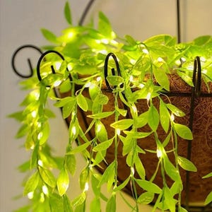 May include: A hanging basket filled with artificial green leaves and tiny white lights. The leaves trail downwards, and the basket is suspended by a black metal frame. The lights are evenly distributed, producing a gentle illumination.