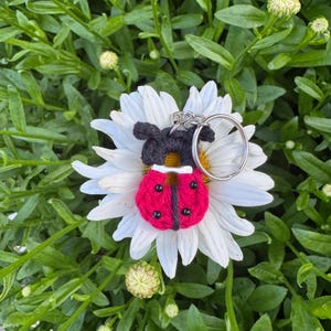 Puede incluir: Un llavero de mariquita hecho a mano con cuerpo rojo, lunares negros y cabeza gris. El llavero está sujeto a un anillo plateado y descansa sobre una flor de margarita blanca, rodeada de follaje verde.