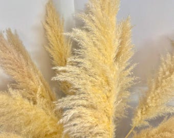 Large Fluffy Pampas Grass Bouquet - 4 ft Tall Wild Pampas Grass - Natural Dried Flower Bouquet for Wedding and Home Decor