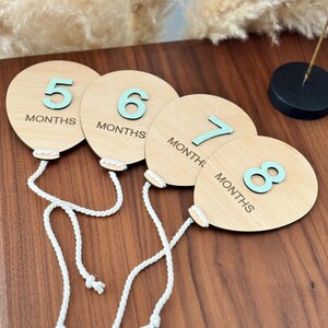 Daisy Meilensteinkarte | Baby Monatlicher Daisy Meilenstein Marker | Personalisierte Monatsübersicht | Austauschbare monatliche Meilensteinkarten | Monatskalender aus Holz
