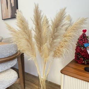 May include: A clear glass vase holding a collection of dried pampas grass. The beige plumes of the grass are soft and feathery. The vase is on a wooden floor, with a chair and a decorative cabinet visible in the background.