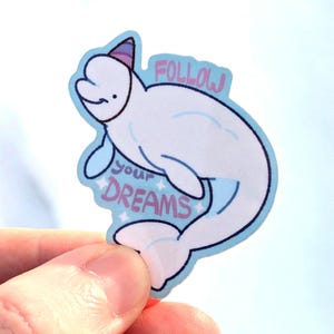 Può includere: Un adesivo con un beluga dei cartoni animati con un cappello da festa. La balena è bianca con accenti azzurri e la scritta "FOLLOW YOUR DREAMS" in rosa e blu. L'adesivo ha un bordo azzurro.