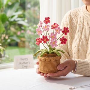 May include: A handmade crochet flower arrangement in a small pot. The flowers are pink and red, with green leaves and stems. The pot is a light brown color. A card that says "Happy Mother's Day" is in the background.