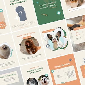 Puede incluir: Una colección de gráficos estilo redes sociales con temas relacionados con mascotas. Los gráficos presentan texto como "¿Adivinas la raza de perro?" y "Tu zodiaco para mascotas", junto con imágenes de perros y gatos. La paleta de colores incluye beige, verde y naranja.