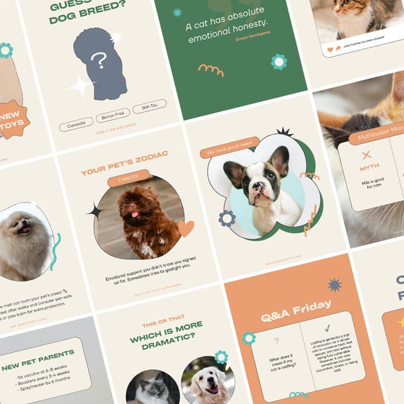 50+ Playful Professional Pet Instagram Templates | Illustrator & Canva Posts + Stories | Vet Clinic Groomer Breeder Social Media Content Kit