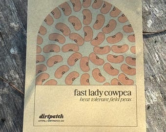 Fast Lady Northern Southern Cowpea Seeds  - Selected for growing in the heat of Florida and Zones 9a 9b and 10