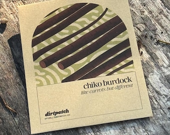 Chiko Burdock Seeds - Selected for growing in the heat of Florida and Zones 9a 9b and 10