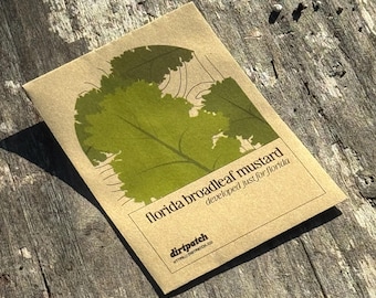 Florida Broadleaf Mustard Seeds  - Selected for growing in the heat of Florida and Zones 9a 9b and 10