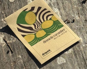 Diomede Cucumber Seeds  - Selected for growing in the heat of Florida and Zones 9a 9b and 10