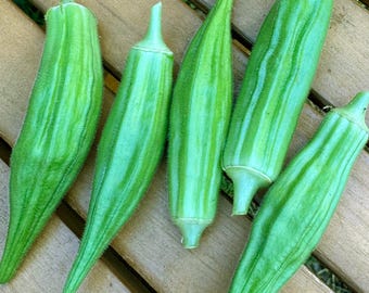 Clemson Spineless Okra Seeds - Selected for growing in the heat of Florida and Zones 9a 9b and 10