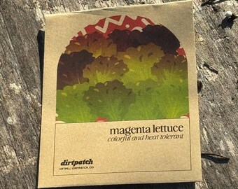 Magenta Lettuce Seeds  - Selected for growing in the heat of Florida and Zones 9a 9b and 10
