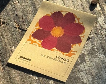 Cosmos (Rubenza) Seeds - Selected for growing in the heat of Florida and Zones 9a 9b and 10