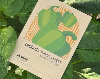 California Wonder Pepper Seeds - Selected for growing in the heat of Florida and Zones 9a 9b and 10