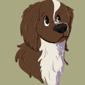 custom cartoon pet portraits