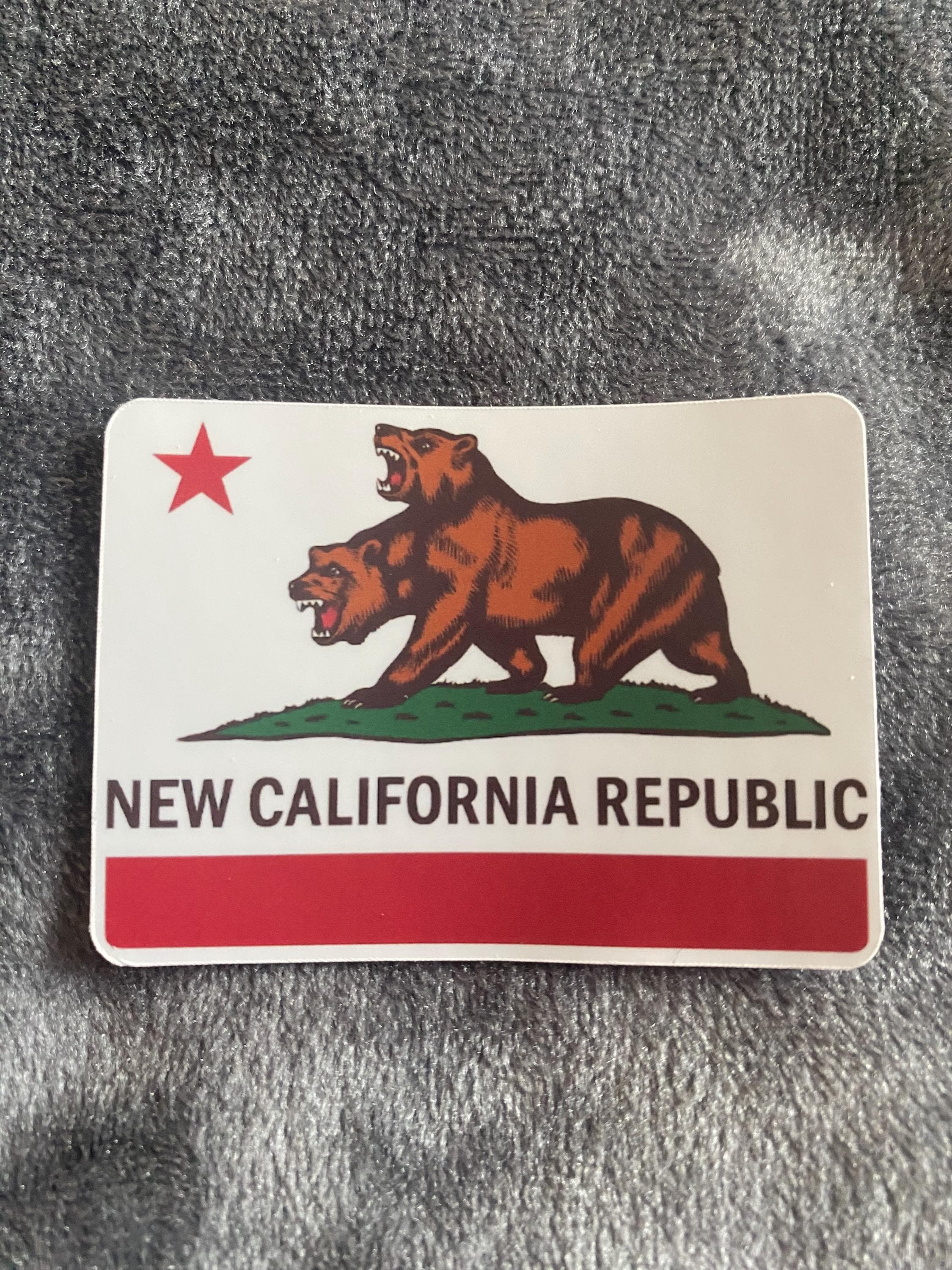 Bandiera della Repubblica della Nuova California di Fallout - Italia