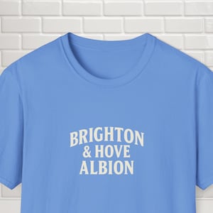 Brighton & Hove Albion T-Shirt - Blue Football Fan Tee - Unisex Gift - Premier League Club Shirt - Match Day Merch Present - Premier League