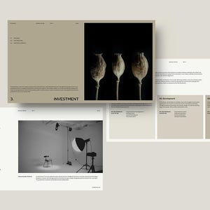 May include: A layout of design elements, including a presentation slide with the word "INVESTMENT" and a black and white photo of three seed pods. Additional slides feature text and a studio setup.