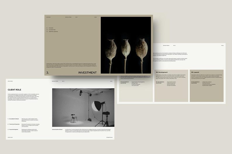 May include: A layout of design elements, including a presentation slide with the word "INVESTMENT" and a black and white photo of three seed pods. Additional slides feature text and a studio setup.