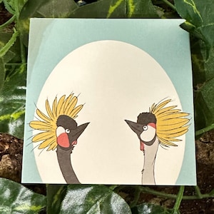 May include: A square sticker featuring a cartoon illustration of two crowned cranes facing each other. The cranes have black heads, yellow crests, and red markings. The background is a light blue with a white oval.