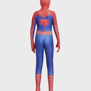 May include: A blue and red Spider-Man costume. The full-body suit features a red hood, arms, and legs with a web pattern. The torso and lower legs are blue, with a red spider emblem on the back.