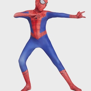May include: A full-body Spider-Man costume in blue and red. The costume features a red mask with white eye lenses, a red spider emblem on the chest, and red accents on the legs and arms. The person is in a dynamic pose.