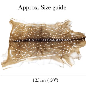 Pode incluir: Um tapete de pele de veado com um padr&atilde;o de manchas castanhas e brancas. O tapete mede aproximadamente 75 cm por 125 cm. O texto "Approx. Size guide" est&aacute; no topo da imagem.
