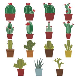 May include: A collection of fifteen illustrated potted plants featuring various green cactus and succulent varieties. Each plant is housed in a simple, solid-colored pot in shades of red, brown, yellow, or blue, with some cacti displaying small red flowers.