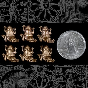 May include: Six gold-colored frog figurines with raised details, arranged in two rows of three on a black background. A silver US quarter is in the background for scale.