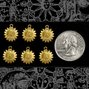 Könnte beinhalten: Sechs goldfarbene Metall-Anhänger in Form einer Margerite mit erhabener Mitte. Die Anhänger sind in zwei Reihen zu je drei angeordnet. Die Anhänger befinden sich auf einem schwarzen Hintergrund. Eine silberne 25-Cent-Münze ist ebenfalls im Bild zu sehen.