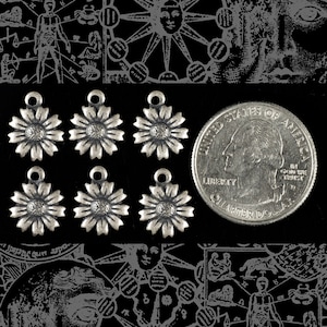 以下が含まれることがあります： 中央が盛り上がったデイジーの花の形をした銀色の金属製チャームが6個。チャームはアメリカの25セント硬貨と同じくらいの大きさです。