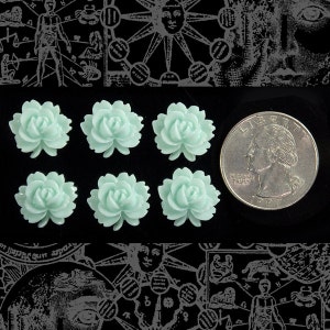 May include: Six light blue, plastic, rose-shaped embellishments. The embellishments are approximately the size of a US quarter.