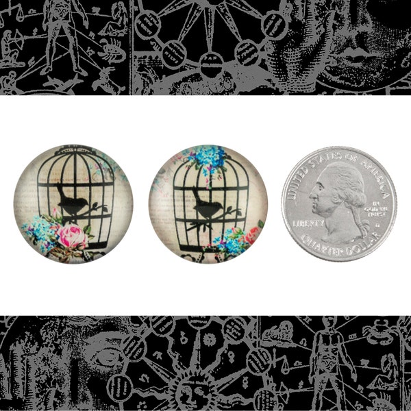 25mm Round One Bird in Ornate Bird Cage Cabochons Set of Two *CAB66