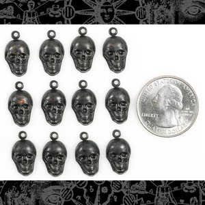 May include: Twelve silver skull charms with a loop at the top for attaching to jewelry or other crafts. The skulls are detailed with eye sockets, a nose, and a mouth.